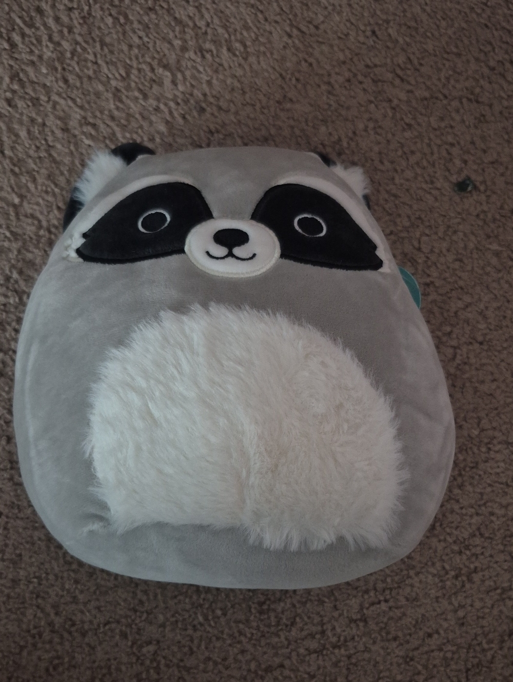Squishmallows Gray & White Raccoon Plush